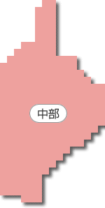 �����n��