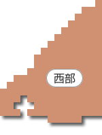 �����n��